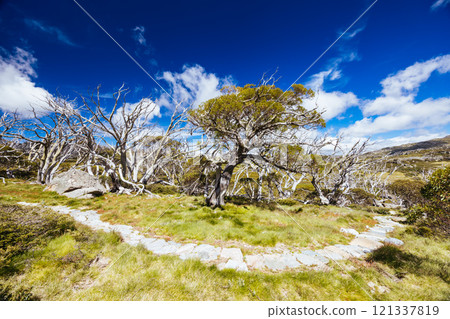 Porcupine Rocks Walk in Australia 121337819