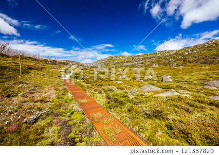 Porcupine Rocks Walk in Australia 121337820