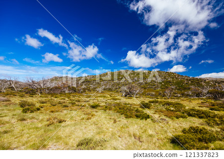 Porcupine Rocks Walk in Australia 121337823