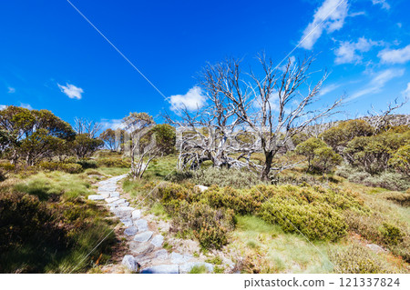 Porcupine Rocks Walk in Australia 121337824