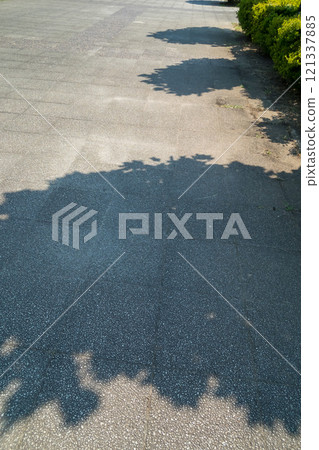 Shade of street trees Shade of street trees 121337885