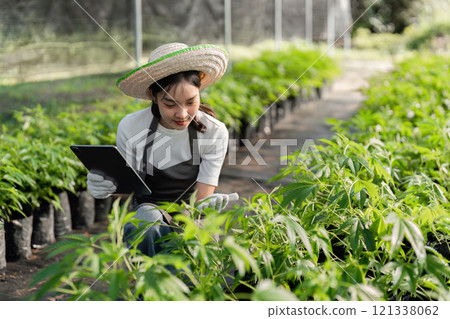 Young Woman Cultivates Herbal Garden Using Modern Technology and Sustainable Practices in a Greenhouse Setting Young Woman Cultivates Herbal Garden Using Modern Technology and Sustainable Practices in a Greenhouse Setting 121338062