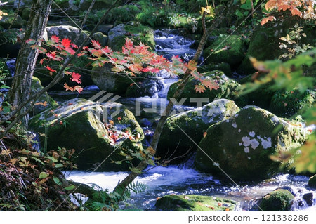 溪流和秋葉 121338286
