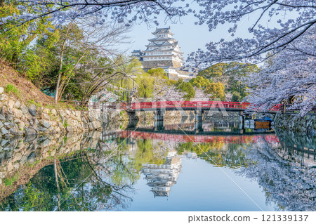 Himeji, Hyogo Prefecture - Beautiful reflection on the water surface of cherry blossoms in full bloom and the national treasure Himeji Castle keep Himeji, Hyogo Prefecture - Beautiful reflection on the water surface of cherry blossoms in full bloom and the national treasure Himeji Castle keep 121339137