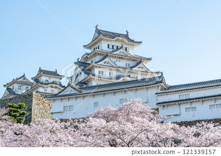Himeji City, Hyogo Prefecture Cherry blossoms in full bloom and the national treasure Himeji Castle (close-up) Himeji City, Hyogo Prefecture Cherry blossoms in full bloom and the national treasure Himeji Castle (close-up) 121339157