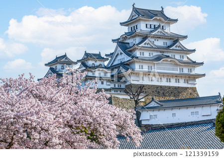 Himeji City, Hyogo Prefecture: Cherry blossoms in full bloom and the national treasure Himeji Castle Himeji City, Hyogo Prefecture: Cherry blossoms in full bloom and the national treasure Himeji Castle 121339159