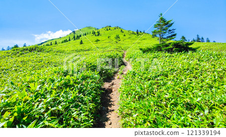 Summer climbing at Mt. Azuma and Mt. Nekodake (Mt. Azuma to Mt. Nekodake) Summer climbing at Mt. Azuma and Mt. Nekodake (Mt. Azuma to Mt. Nekodake) 121339194