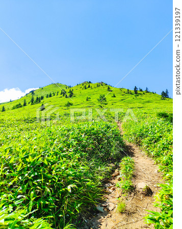 夏季登山希雅山、貓山(希雅山、貓山) 夏季登山希雅山、貓山(希雅山、貓山) 121339197