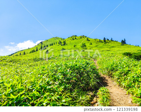夏季登山希雅山、貓山（希雅山、貓山） 121339198