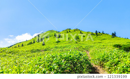 Summer climbing at Mt. Azuma and Mt. Nekodake (Mt. Azuma to Mt. Nekodake) Summer climbing at Mt. Azuma and Mt. Nekodake (Mt. Azuma to Mt. Nekodake) 121339199