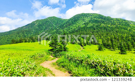 Summer climbing of Mt. Azuma and Mt. Nekodake (Mt. Nekodake to Mt. Azuma) 121339248