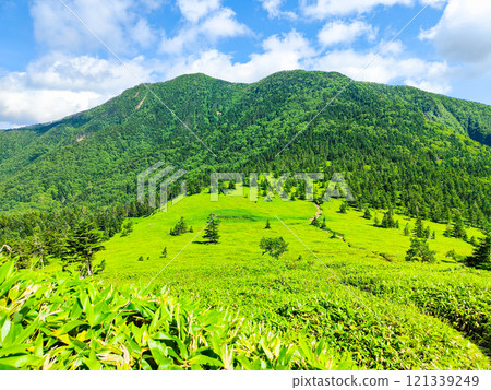 Summer climbing of Mt. Azuma and Mt. Nekodake (Mt. Nekodake to Mt. Azuma) Summer climbing of Mt. Azuma and Mt. Nekodake (Mt. Nekodake to Mt. Azuma) 121339249
