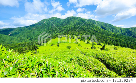 夏季攀登希雅山、貓山(貓山~希雅山) 夏季攀登希雅山、貓山(貓山~希雅山) 121339254