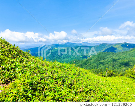 Climbing Mt. Azuma and Mt. Nekodake in summer (Mt. Azuma to Mt. Nekodake: View towards Shiga-Kusatsu) Climbing Mt. Azuma and Mt. Nekodake in summer (Mt. Azuma to Mt. Nekodake: View towards Shiga-Kusatsu) 121339260
