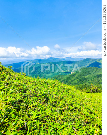 夏季攀登什葉派山、貓山（什葉派、貓山：眺望志賀草津） 121339262