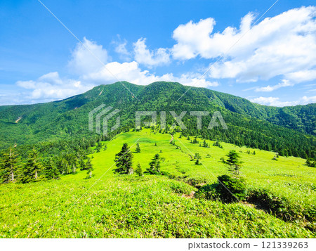 Summer climbing of Mt. Azuma and Mt. Nekodake (Mt. Nekodake to Mt. Azuma) Summer climbing of Mt. Azuma and Mt. Nekodake (Mt. Nekodake to Mt. Azuma) 121339263