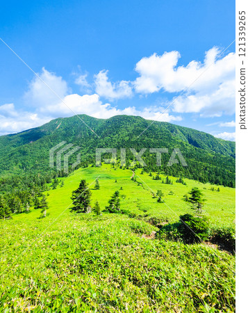 Summer climbing of Mt. Azuma and Mt. Nekodake (Mt. Nekodake to Mt. Azuma) 121339265