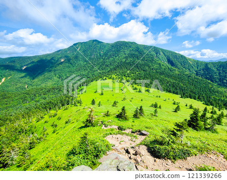 夏季攀登希雅山、貓山(貓山~希雅山) 夏季攀登希雅山、貓山(貓山~希雅山) 121339266