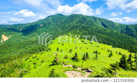 Summer climbing of Mt. Azuma and Mt. Nekodake (Mt. Nekodake to Mt. Azuma) 121339308