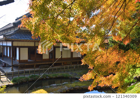 Autumn leaves at the ruins of Nankan Ochaya 121340309