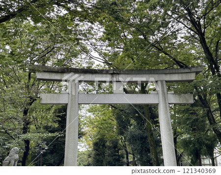 被綠色大自然包圍的神社鳥居 被綠色大自然包圍的神社鳥居 121340369