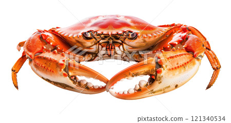 Crab bolied isolated on white background png transparent clipart. 121340534