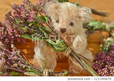 A small bouquet of dried Japanese eupatorium flowers and a teddy bear 121340670