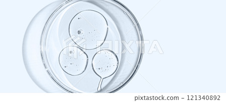 Skin serum or body gel in a Petri dish. Cosmetic product 121340892