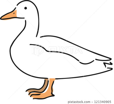 Hand drawn duck illustration 121340905