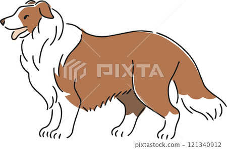 Hand drawn collie illustration 121340912