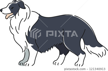 Hand drawn collie illustration Hand drawn collie illustration 121340913