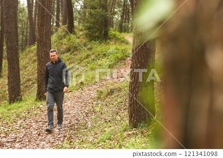 A 45-year-old man walking calmly through a pine forest 121341098