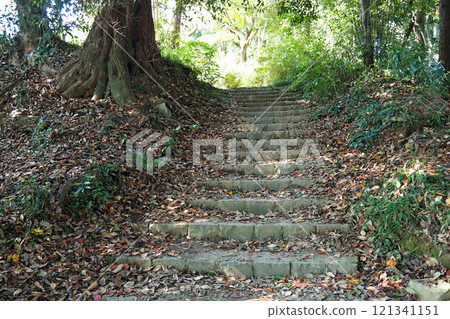 Hachioji Castle: Mountain path in the fortified area [Hachioji, Tokyo] 121341151