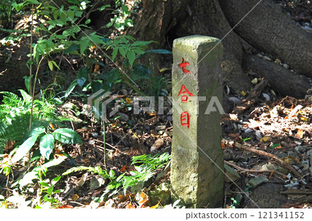 Hachioji Castle: Mountain path in the fortified area [Hachioji, Tokyo] 121341152