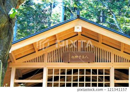 Hachioji Shrine inside Hachioji Castle [Hachioji City, Tokyo] 121341157