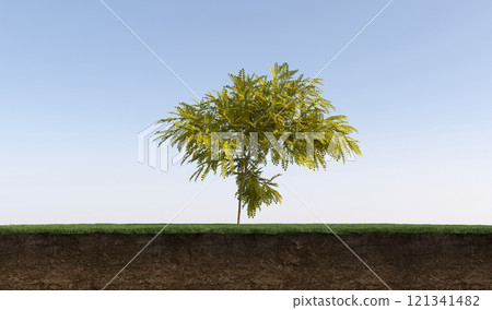 tree on the grass and a slice of soil under it, 3d render tree on the grass and a slice of soil under it, 3d render 121341482