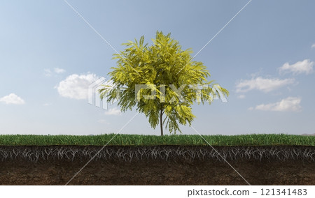 tree on the grass and a slice of soil under it, 3d render tree on the grass and a slice of soil under it, 3d render 121341483