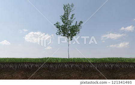 tree on the grass and a slice of soil under it, 3d render tree on the grass and a slice of soil under it, 3d render 121341493