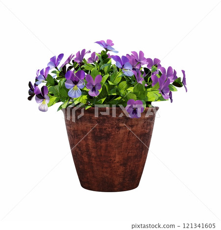 decorative flower in a pot isolated on white background, 3D illustration, cg render 121341605