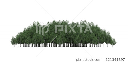 group of trees isolated on a transparent background, forest, sketch, outline illustration, cg render group of trees isolated on a transparent background, forest, sketch, outline illustration, cg render 121341897