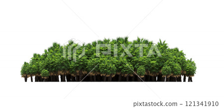 group of trees isolated on a transparent background, forest, sketch, outline illustration, cg render 121341910