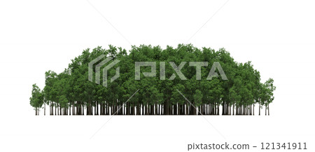 group of trees isolated on a transparent background, forest, sketch, outline illustration, cg render group of trees isolated on a transparent background, forest, sketch, outline illustration, cg render 121341911