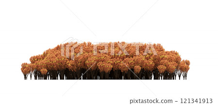 group of trees isolated on a transparent background, forest, sketch, outline illustration, cg render 121341913