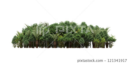 group of trees isolated on a transparent background, forest, sketch, outline illustration, cg render group of trees isolated on a transparent background, forest, sketch, outline illustration, cg render 121341917