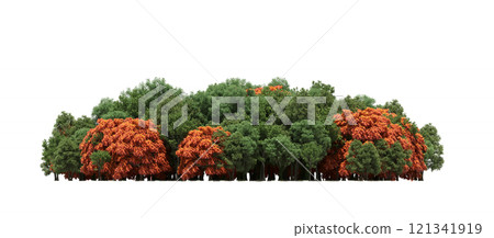 group of trees isolated on a transparent background, forest, sketch, outline illustration, cg render 121341919