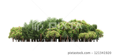 group of trees isolated on a transparent background, forest, sketch, outline illustration, cg render group of trees isolated on a transparent background, forest, sketch, outline illustration, cg render 121341920
