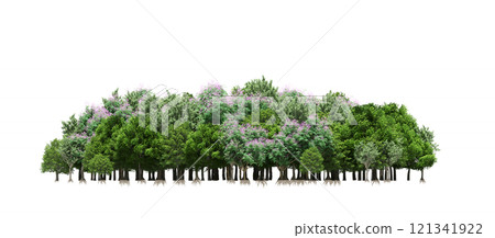 group of trees isolated on a transparent background, forest, sketch, outline illustration, cg render group of trees isolated on a transparent background, forest, sketch, outline illustration, cg render 121341922