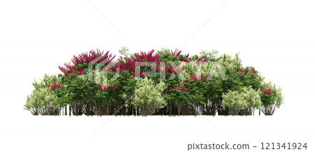 group of trees isolated on a transparent background, forest, sketch, outline illustration, cg render 121341924