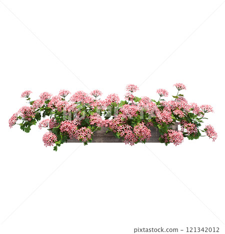decorative flower in a pot isolate on a transparent background, 3D illustration, cg render 121342012