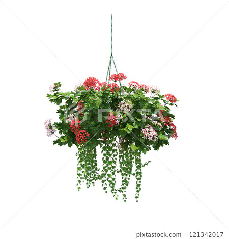 decorative flower in a pot isolate on a transparent background, 3D illustration, cg render 121342017